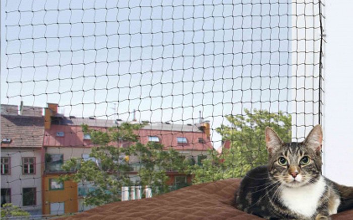 Cat Safety Nets